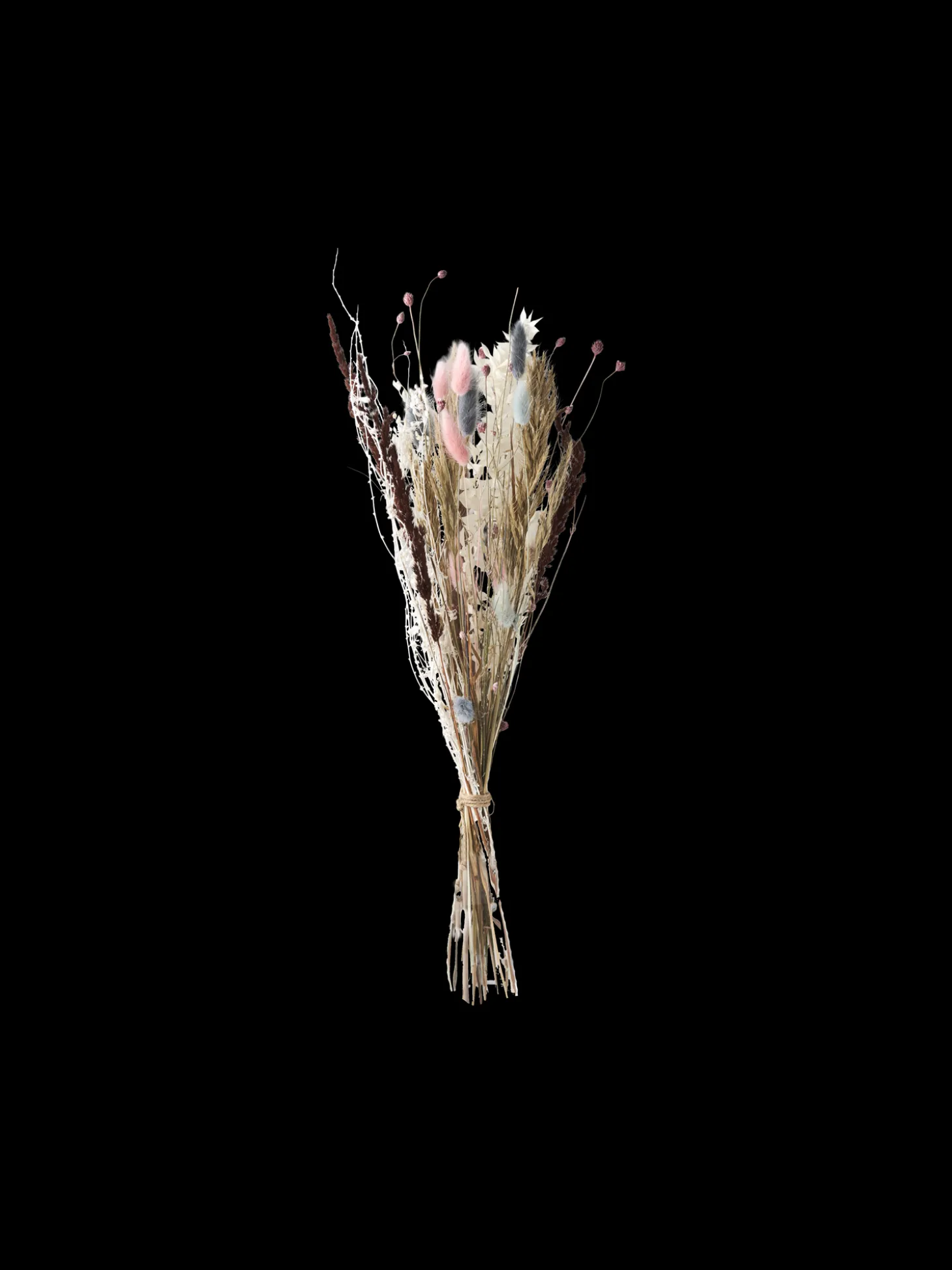 Assorterte Tørkede Blomster