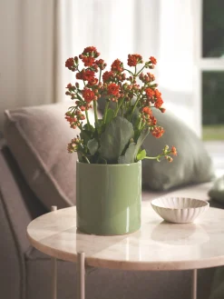 Blomsterpotte