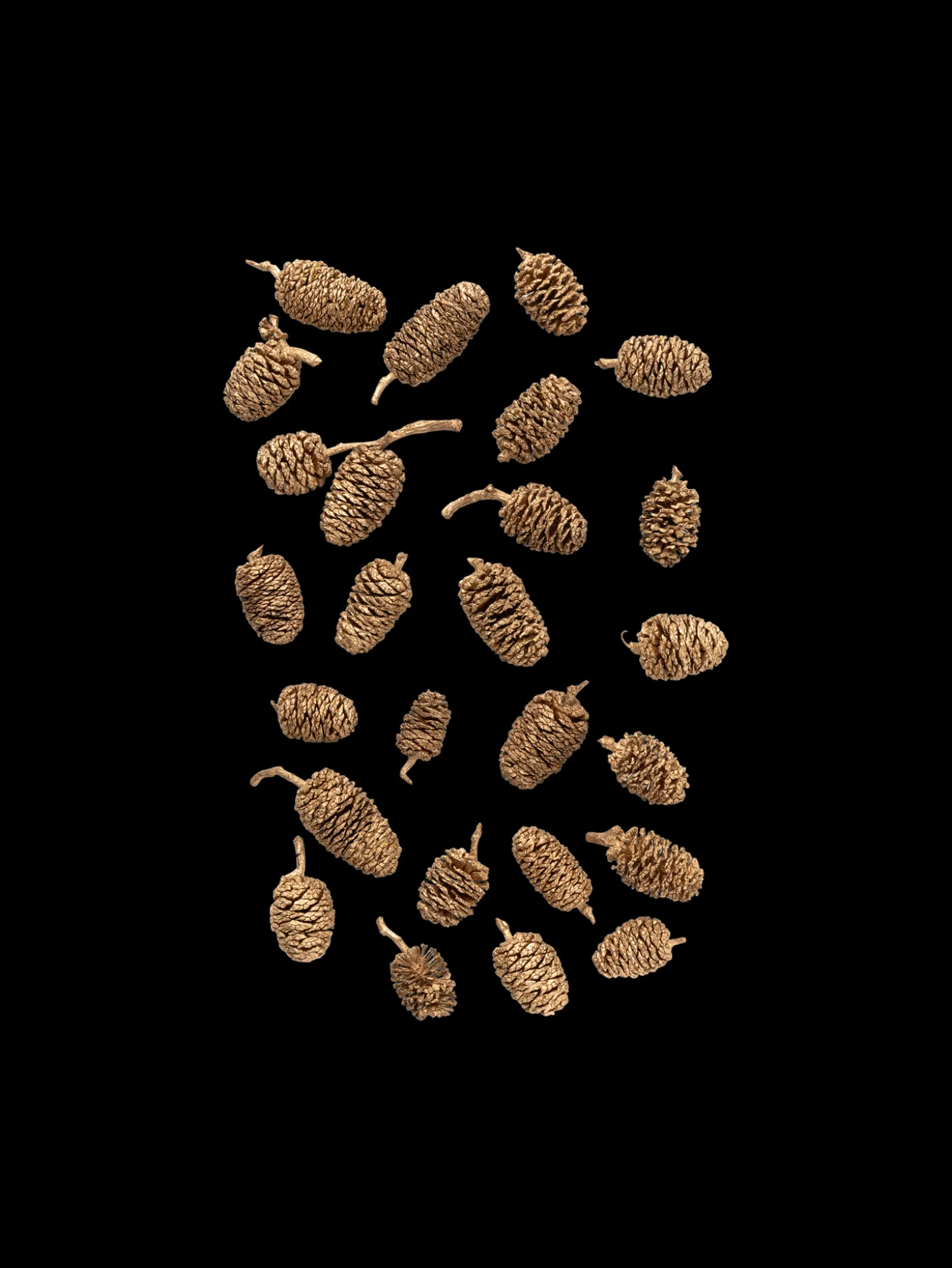 Dekorative Furukongler