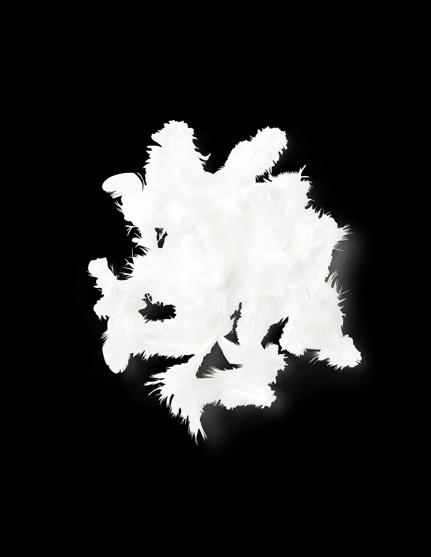 Fjær