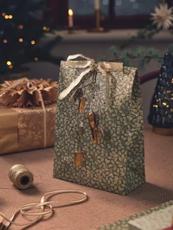 Gavepose Formet Som En Konvolutt