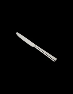 Kniv Med Blank Overflate