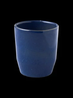 Kopp