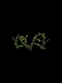LED-lysslynge