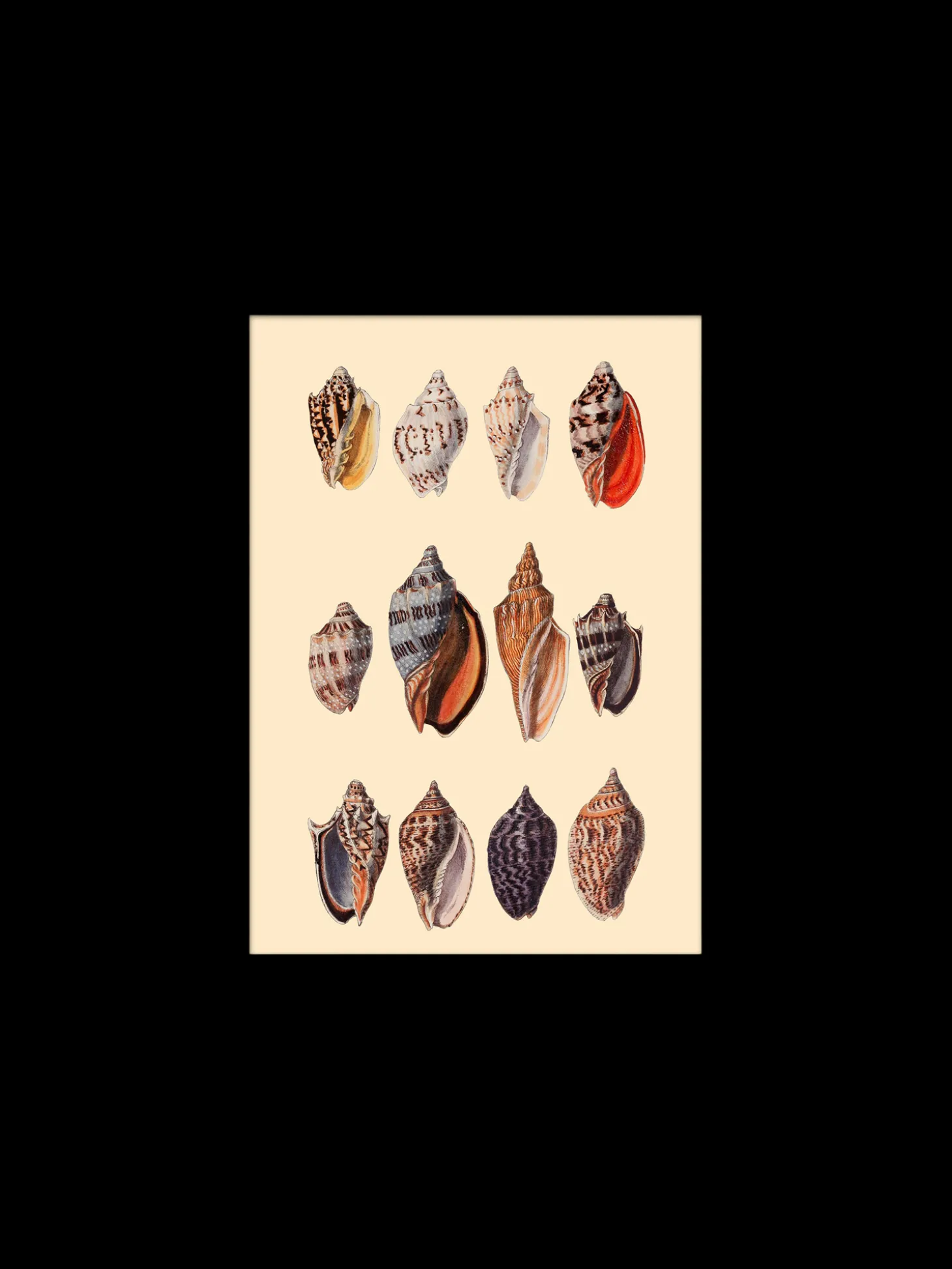 Plakat 15 X 21 Cm