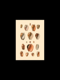 Plakat 15 X 21 Cm