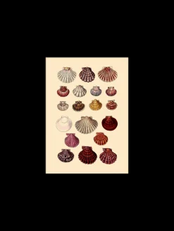 Plakat 15 X 21 Cm