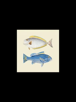 Plakat 24 X 24 Cm