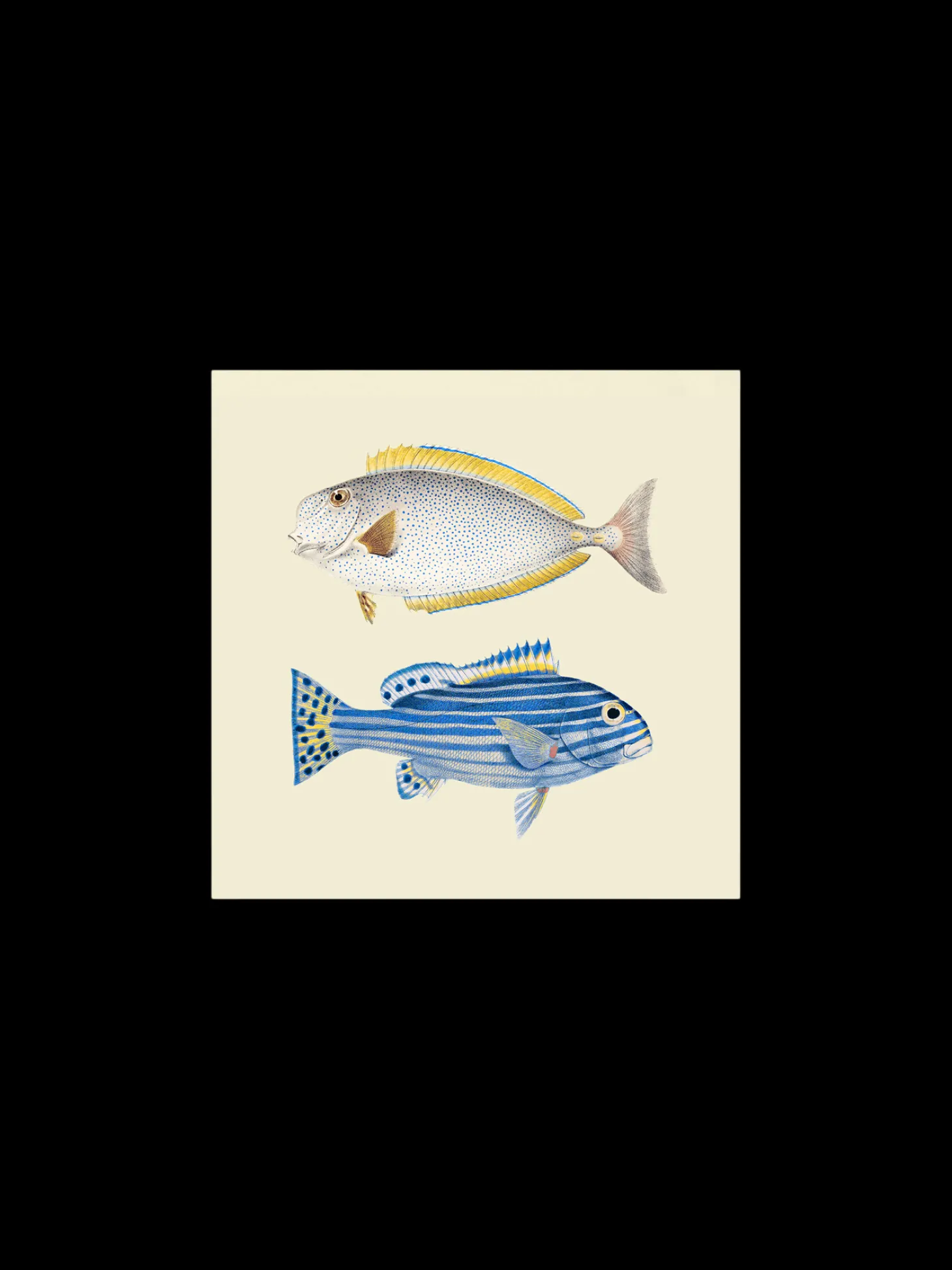 Plakat 24 X 24 Cm