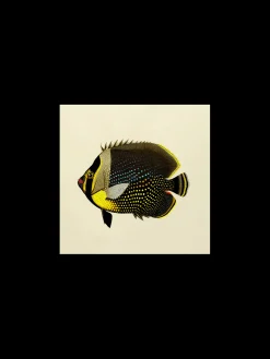 Plakat 24 X 24 Cm