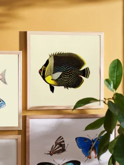 Plakat 24 X 24 Cm