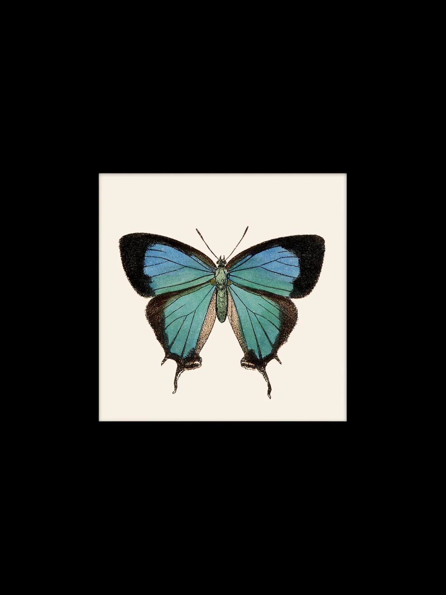 Plakat 24 X 24 Cm