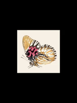Plakat 24 X 24 Cm