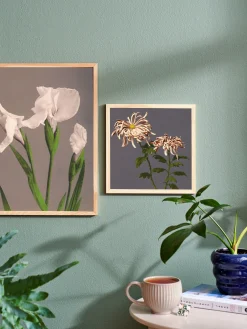 Plakat 24 X 24 Cm