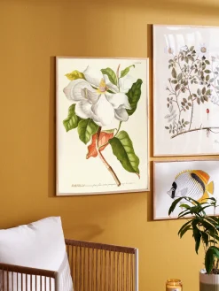 Plakat 50 X 70 Cm