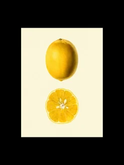 Plakat 50 X 70 Cm