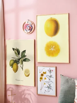 Plakat 50 X 70 Cm