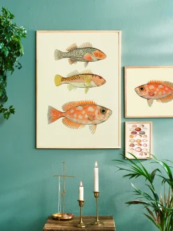 Plakat 50 X 70 Cm