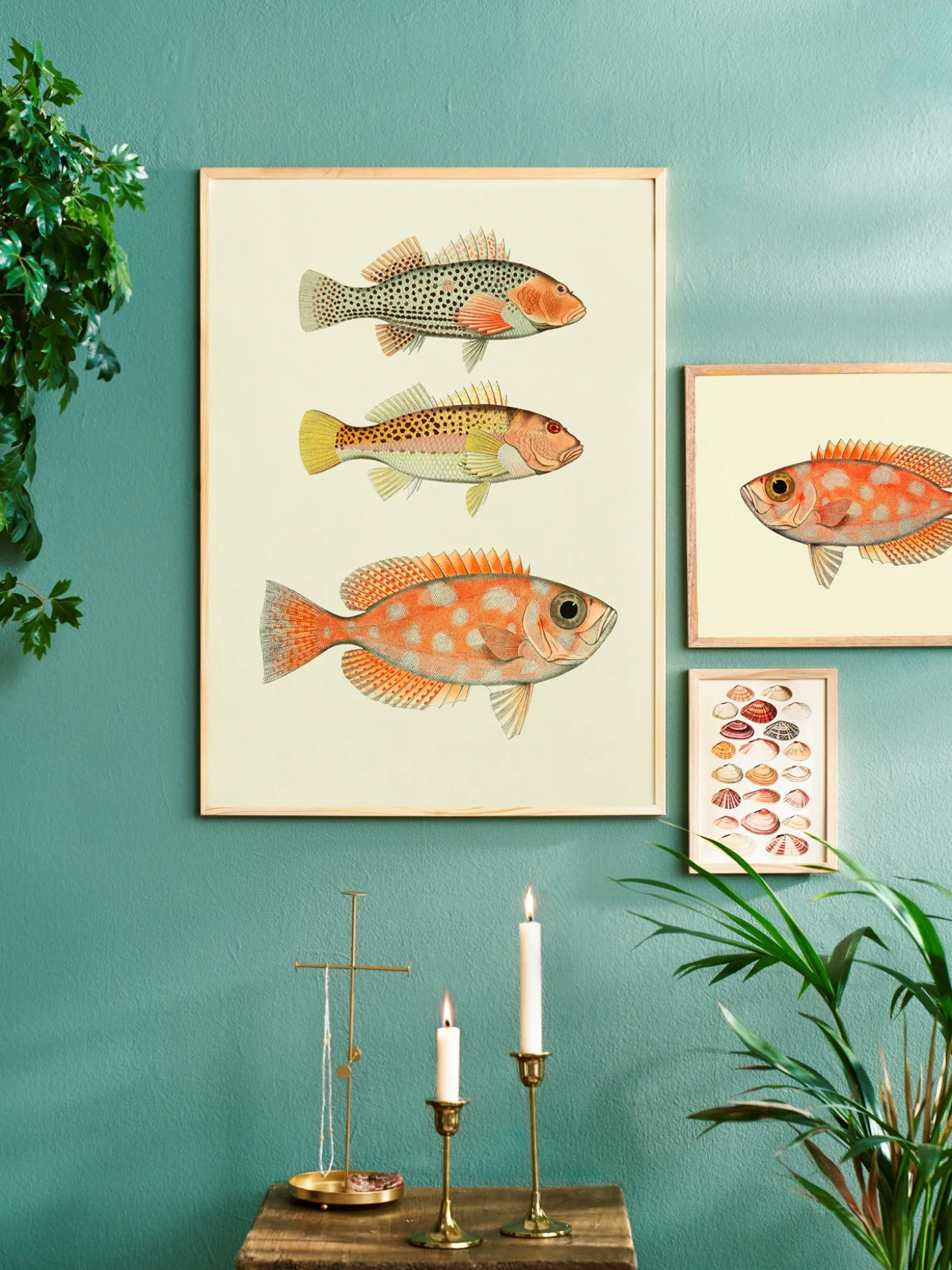 Plakat 50 X 70 Cm