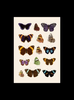 Plakat 50 X 70 Cm