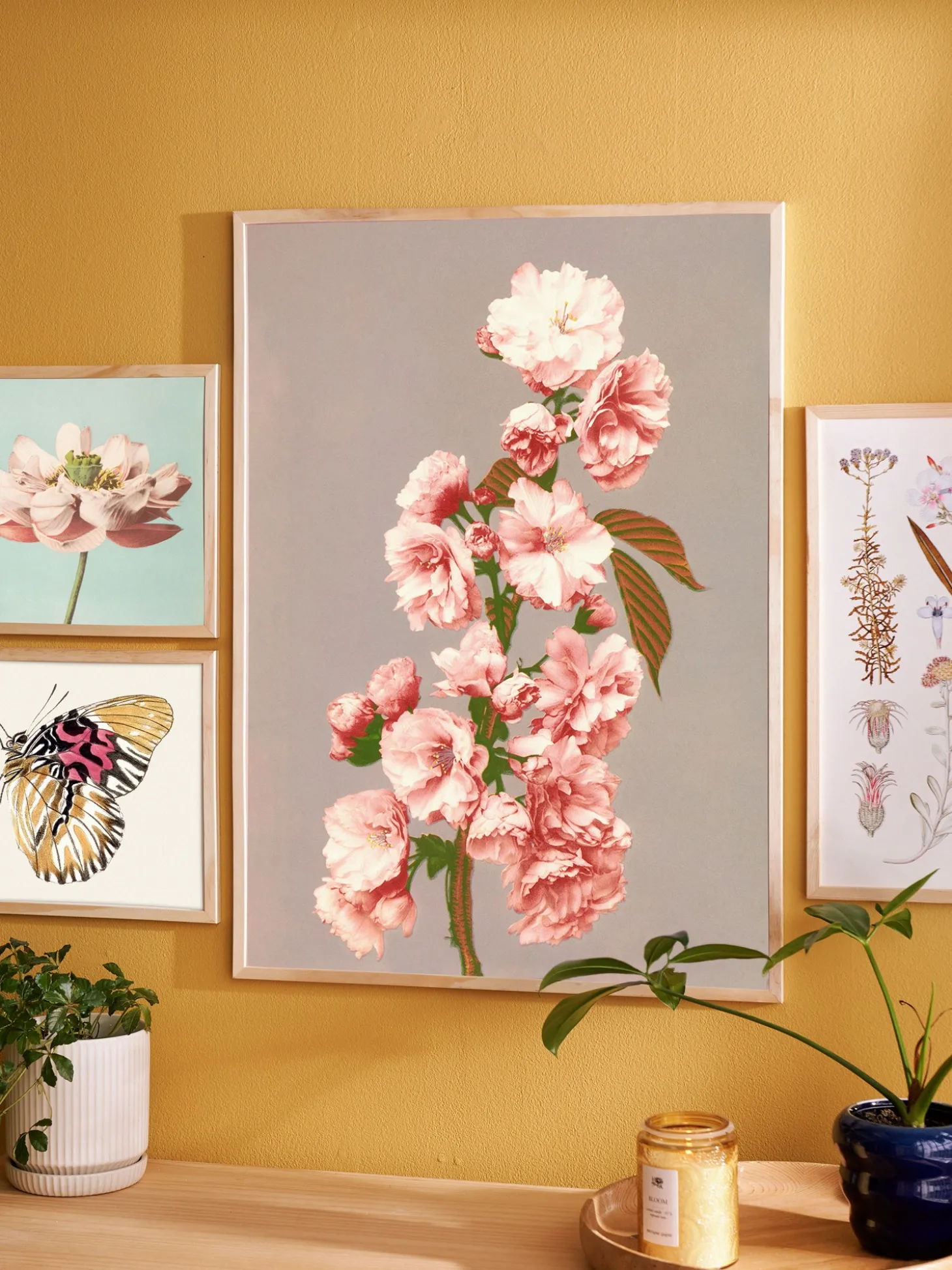 Plakat 50 X 70 Cm