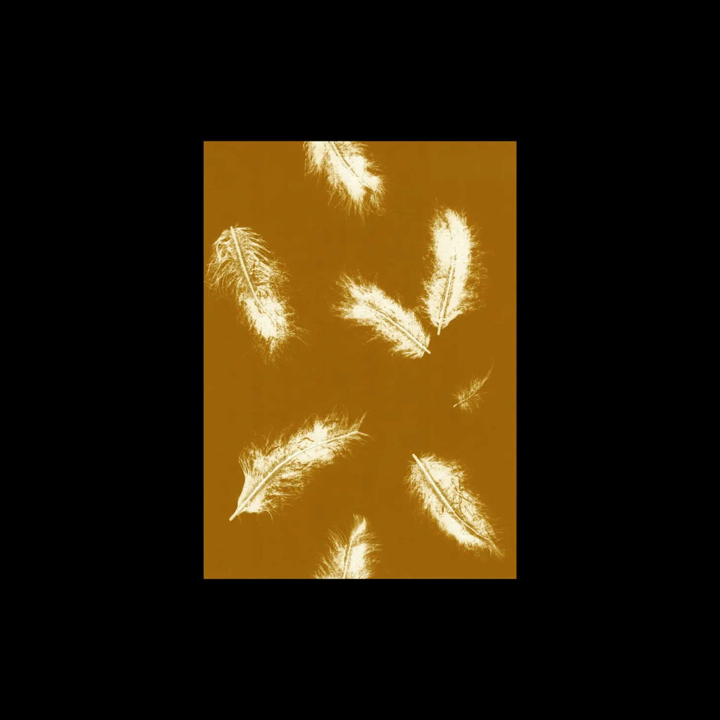 Plakat Feather Dark Mustard 40 X 50 Cm