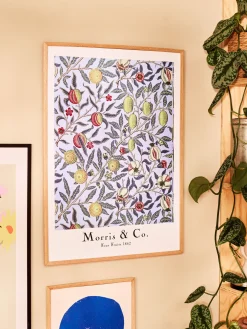 Plakat Four Fruits 50 X 70 Cm