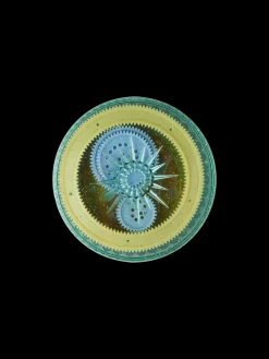 Spiraltegnesett