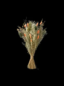 Tørkede Blomster Orange Medium