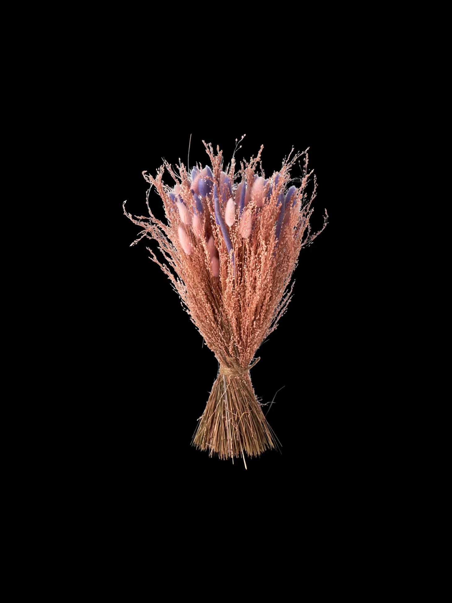 Tørkede Blomster Rosa Liten